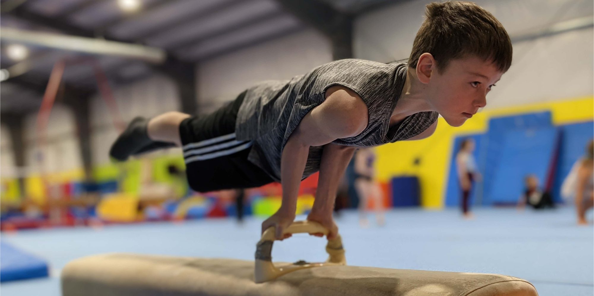 Curriculum – Fundy Gymnastics Club